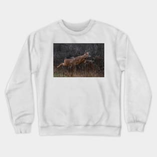 Into the Woods - White-tailed Deer Crewneck Sweatshirt